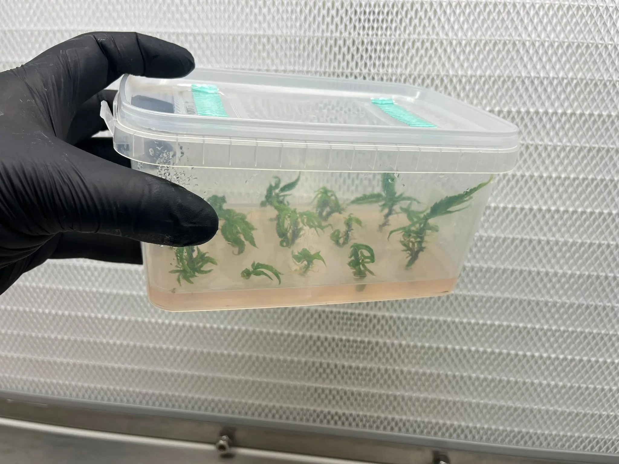 WhatsApp Image 2026-03-04 at 17.04.39 (4)1773349377