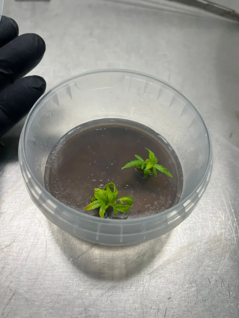 WhatsApp Image 2026-03-04 at 17.04.401773349378