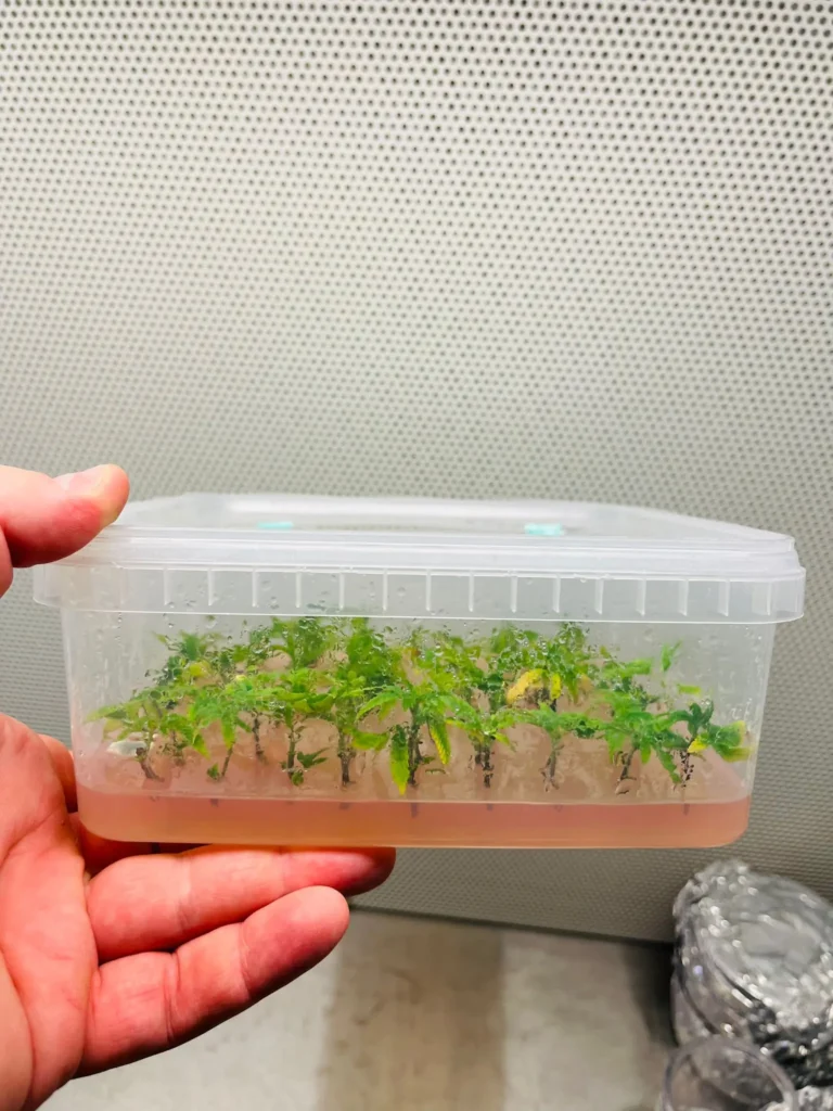 WhatsApp Image 2026-03-04 at 17.04.41 (1)1773349379