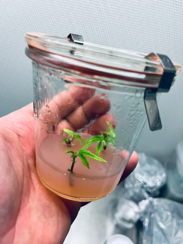 WhatsApp Image 2026-03-04 at 17.04.41 (2)1773349379