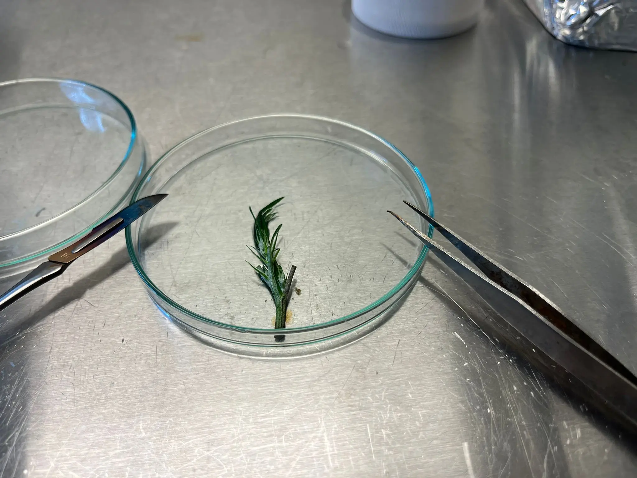 WhatsApp Image 2026-03-04 at 17.04.41 (5)1773349380