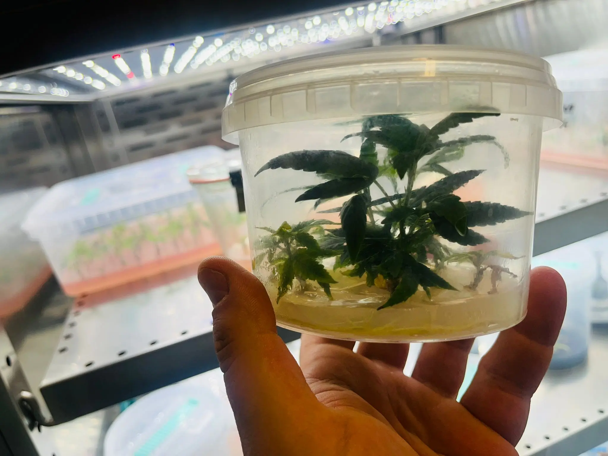 WhatsApp Image 2026-03-04 at 17.04.41 (7)1773349380