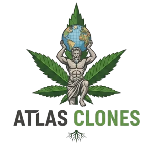 atlas-clones-logo