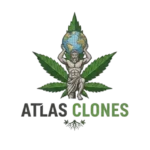 Atlas-Clones
