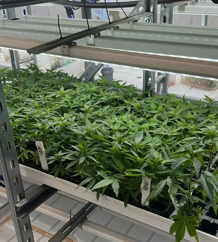 WhatsApp Image 2026-03-04 at 17.04.40 (1)