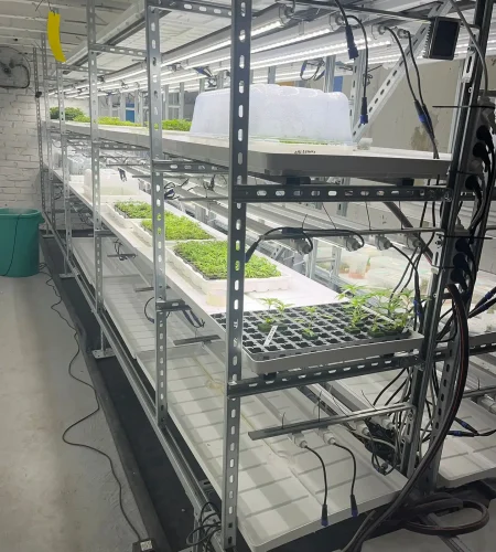 WhatsApp Image 2026-03-04 at 17.04.40 (5)