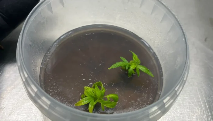 WhatsApp Image 2026-03-04 at 17.04.401773349378