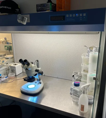 WhatsApp Image 2026-03-04 at 17.04.41 (6)